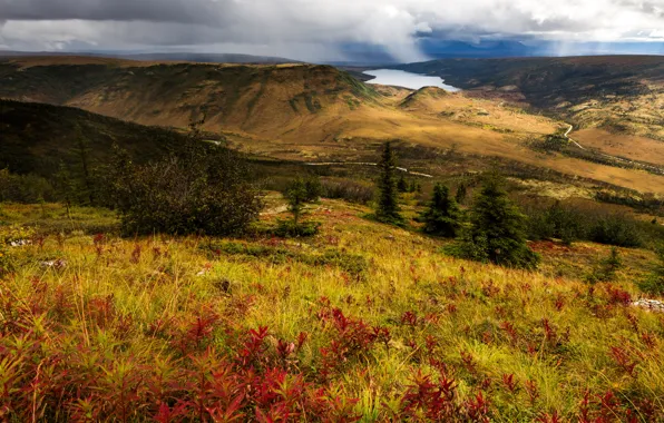 Озеро, холмы, панорама, США, Alaska, Denali National Park