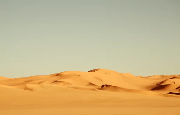 Картинка песок, жёлтый, ветер, пустыня, жара, африка, landscape, nature