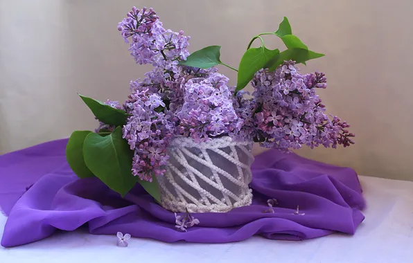 Листья, цветы, букет, весна, ткань, ваза, натюрморт, цветение