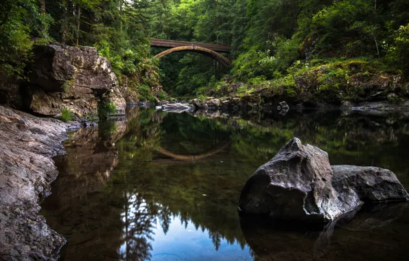 Картинка лес, мост, отражение, река, камень, Washington, штат Вашингтон, река Льюис