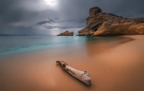 Картинка море, пляж, природа, побережье, бревно, Корсика, Corsica, Pertusato