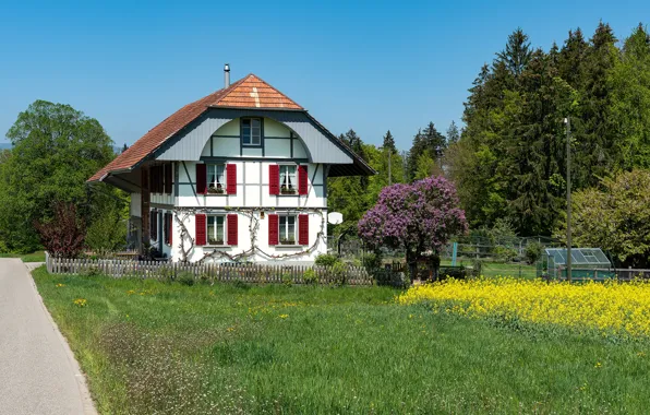 Фото, Дизайн, Трава, Забор, Швейцария, Дом, Особняк, Steinhof