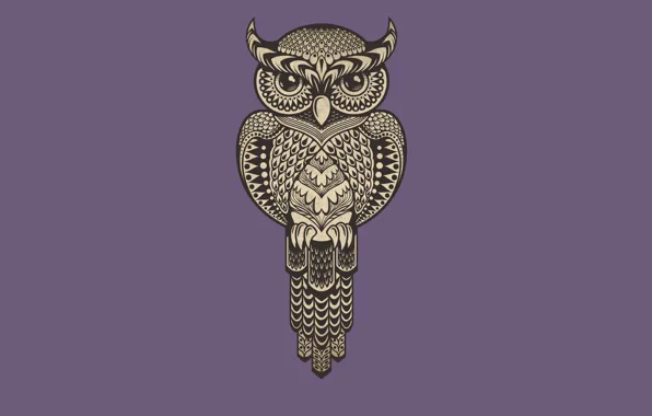 Фиолетовый, сова, птица, минимализм, owl