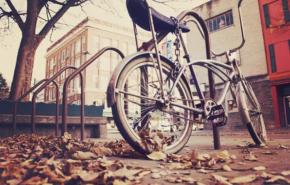 Картинка осень, велосипед, город, улица, листва, цепь, парковка