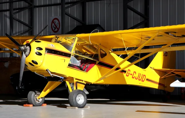 Картинка легкий, американский, самолёт со складывающими крылями, Denney Kitfox, Model 3