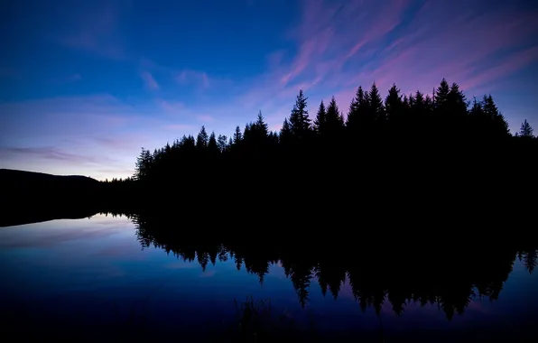 Картинка лес, озеро, отражение, черный, вечер