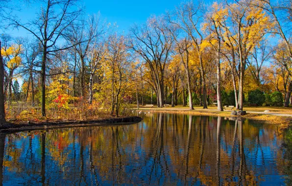Картинка осень, деревья, пруд, парк, отражение