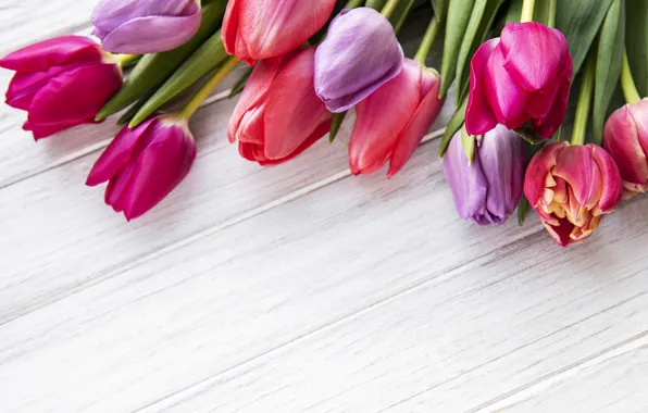 Цветы, colorful, тюльпаны, wood, flowers, tulips, spring, purple