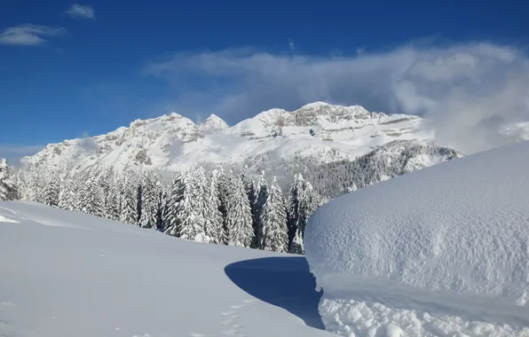 Картинка зима, небо, снег, деревья, горы, сугроб