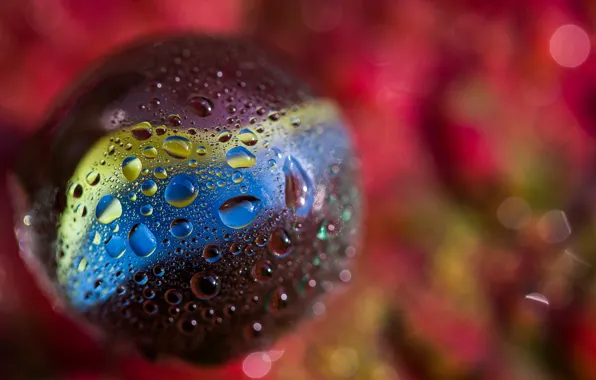 Colors, glass, ball