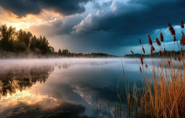 Картинка landscape, lake, fog