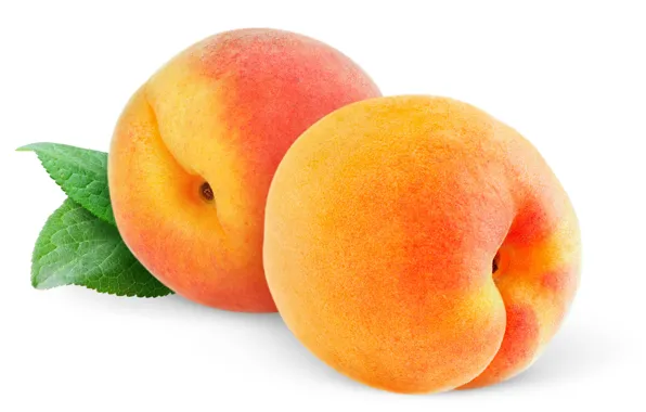 Белый фон, фрукты, персики, fruit, peaches