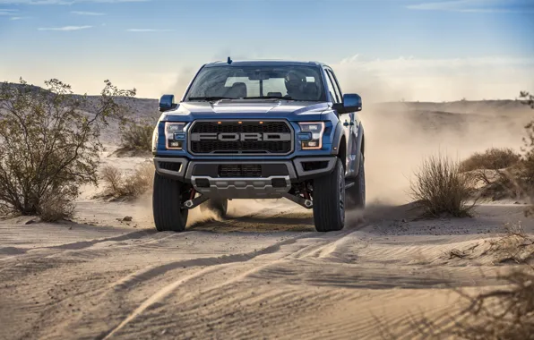 Ford, Пыль, Пустыня, Фары, Raptor, F-150, 2019, Ford F-150 Raptor