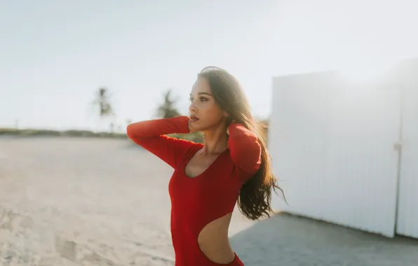 Картинка лето, девушка, лицо, волосы, брюнетка, Amanda