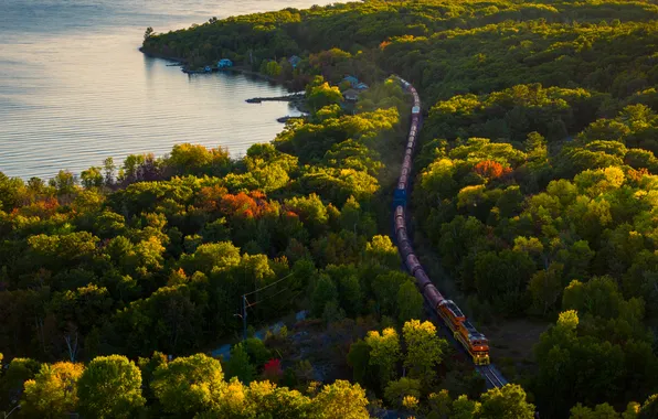 Лес, солнце, деревья, озеро, поезд, панорама, железная дорога, Canada