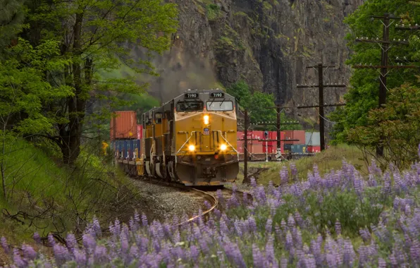 Картинка природа, рельсы, поезд, железная дорога, локомотив