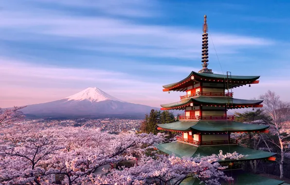 Картинка деревья, цветы, дом, гора, весна, утро, Япония, сакура