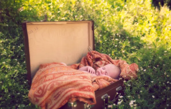 Картинка фон, чемодан, младенец