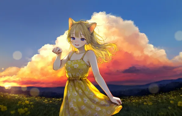 Поле, девушка, закат, цветы, желтый, girl, field, сарафан