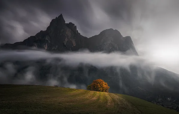 Картинка осень, горы, тучи, дерево