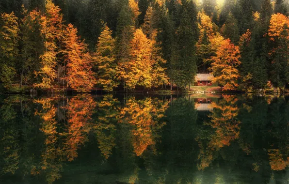 Картинка осень, лес, пейзаж, природа, озеро, дом, отражение, коттедж