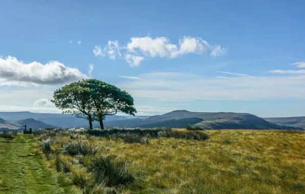 Картинка Англия, Derbyshire, Дербишир, Peak District