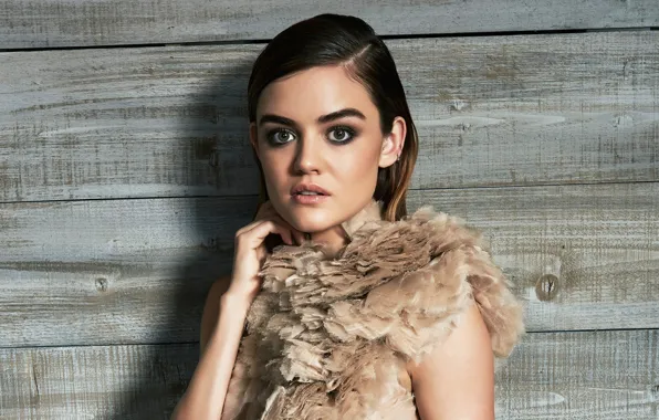Взгляд, девушка, лицо, портрет, макияж, Lucy Hale