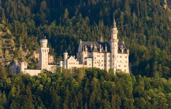 Лес, деревья, замок, Германия, Бавария, Germany, Bavaria, Neuschwanstein Castle
