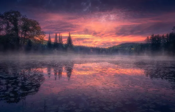 Картинка лес, туман, озеро, отражение, восход, рассвет, утро, Канада