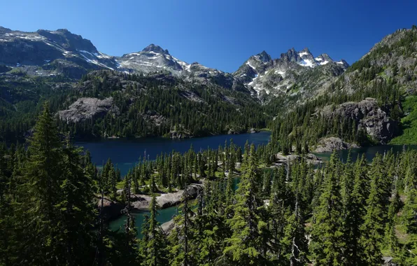 Картинка деревья, горы, озеро, ели, Каскадные горы, Mount Baker-Snoqualmie National Forest, Washington State, Cascade Range