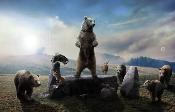 Набор для творчества «Чудесные животные. Европа: медведь и лиса»
