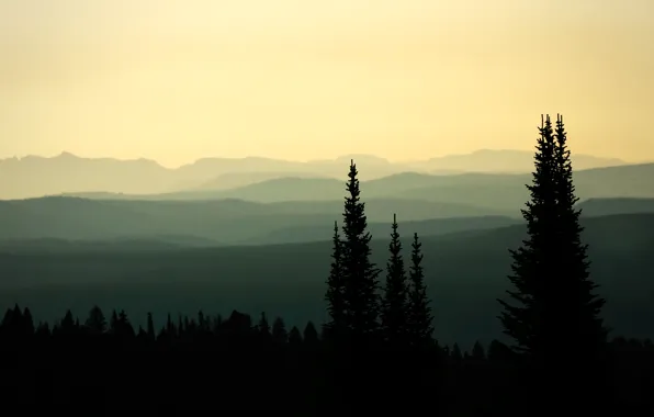 Лес, небо, горы, холмы