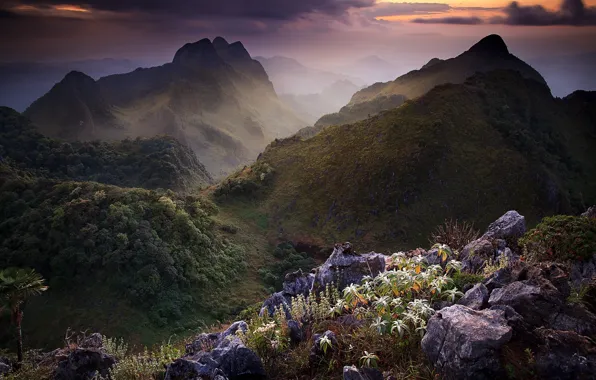 Горы, тучи, растительность, Таиланд