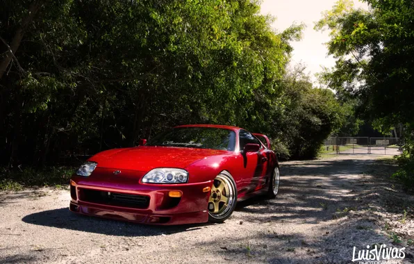 Картинка red, supra, road, trees, toyota