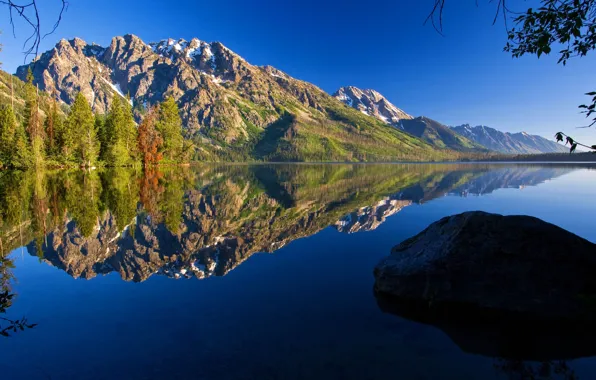 Деревья, горы, природа, отражение, камень, Вайоминг, США, Grand Teton National Park