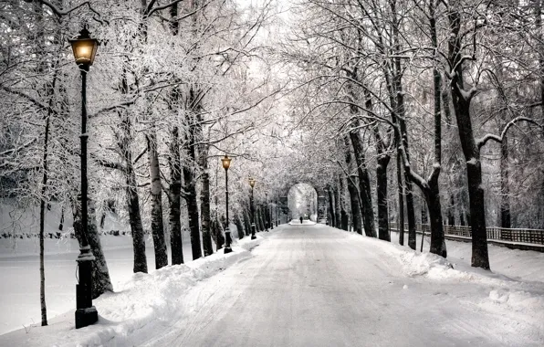 Зима, парк, фонари, Санкт-Петербург, аллея