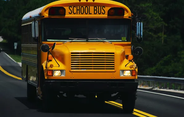 School, Thomas, bus, FS-65