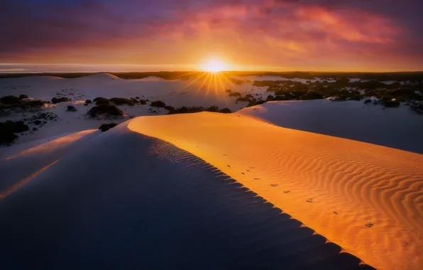 Песок, закат, дюны, Australia, South Australia, Kangaroo Island, Vivonne Bay, Little Sahara