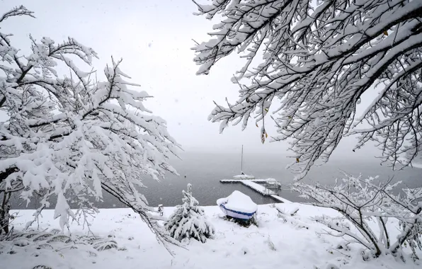 Картинка зима, снег, деревья, пейзаж, зимний, landscape, nature, beautiful