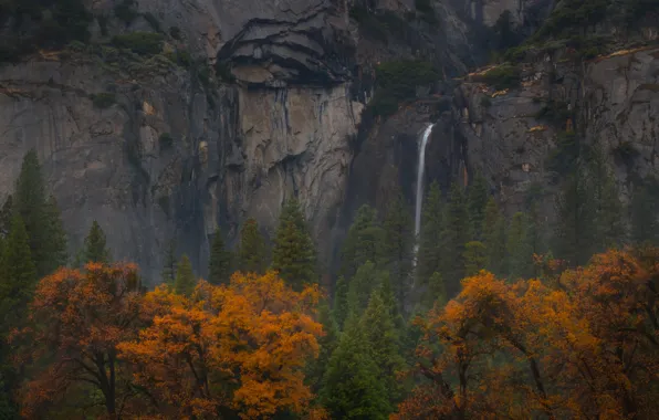 Картинка осень, деревья, горы, скалы, водопад