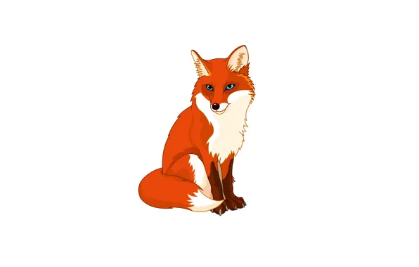 Картинка минимализм, лиса, белый фон, fox