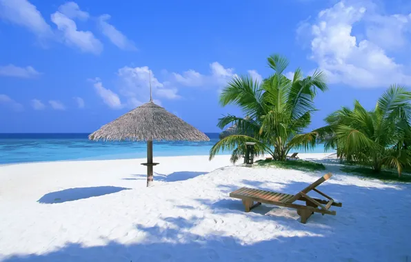 Картинка песок, пляж, лето, пальмы, океан, шезлонг, навес, багамы