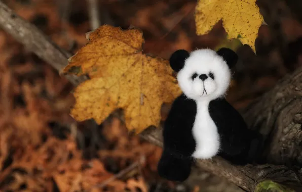 Картинка осень, листья, игрушка, мишка, панда