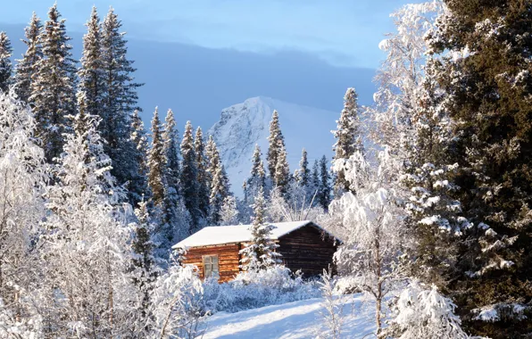 Картинка зима, лес, домик, Швеция, Sweden, Kvikkjokk