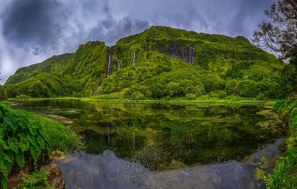 Португалия, Азорские острова, Flores, Azores, Флориш