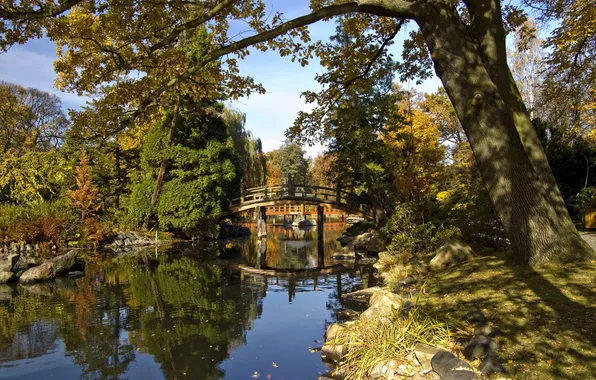 Картинка осень, вода, деревья, пруд, отражение, камни, Польша, мосты
