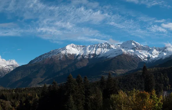 Картинка лес, небо, горы, панорама, Грузия, Кавказские горы, Сванетия