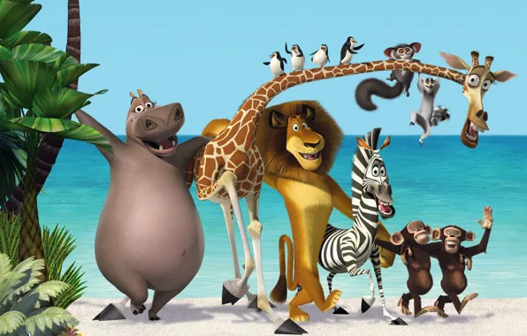 Картинка море, пальмы, мультфильм, лев, мадагаскар, пингвины, жираф, зебра