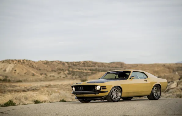 Mustang, Boss 302, 1970, Desert