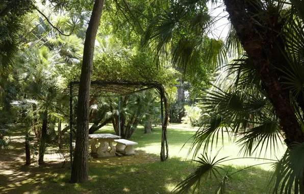 Природа, Деревья, Парк, Растения, Nature, Park, Trees, Plants